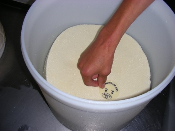 Bochasses-Fabrication-11